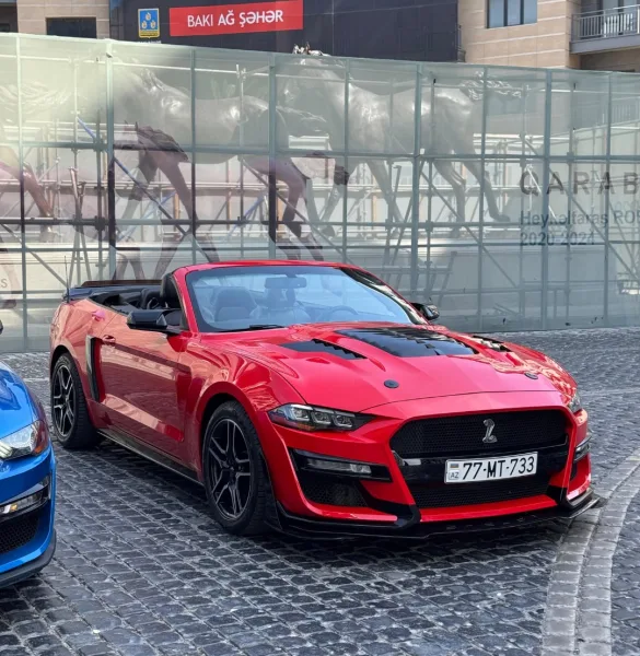 Ford Mustang shelby